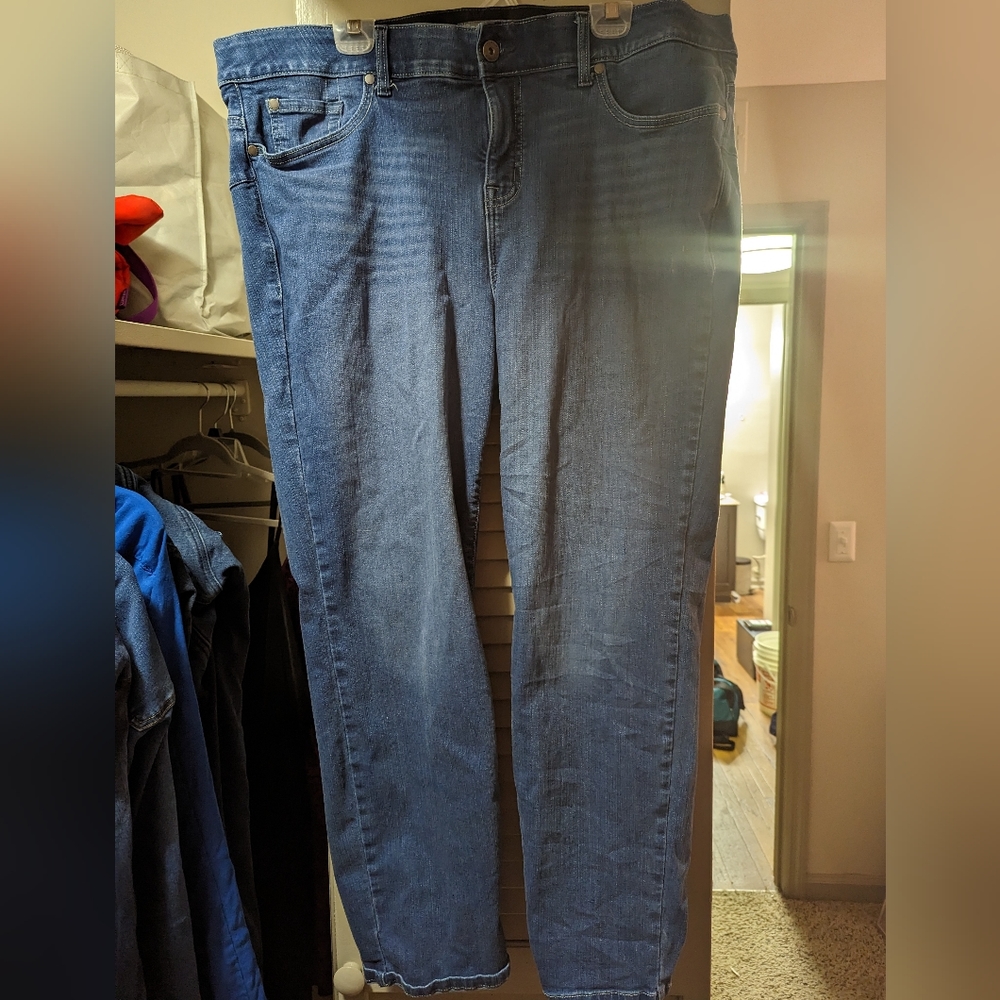 Torrid Jeans
